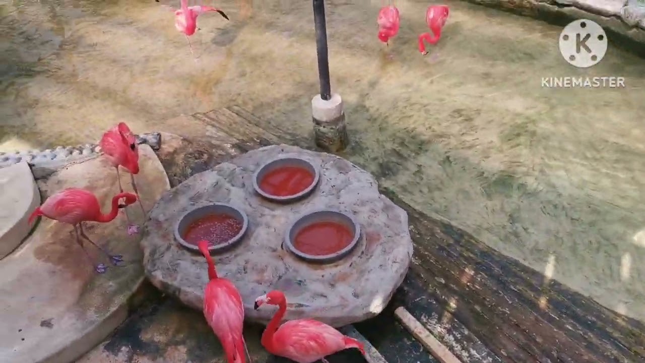 香港動植物公園