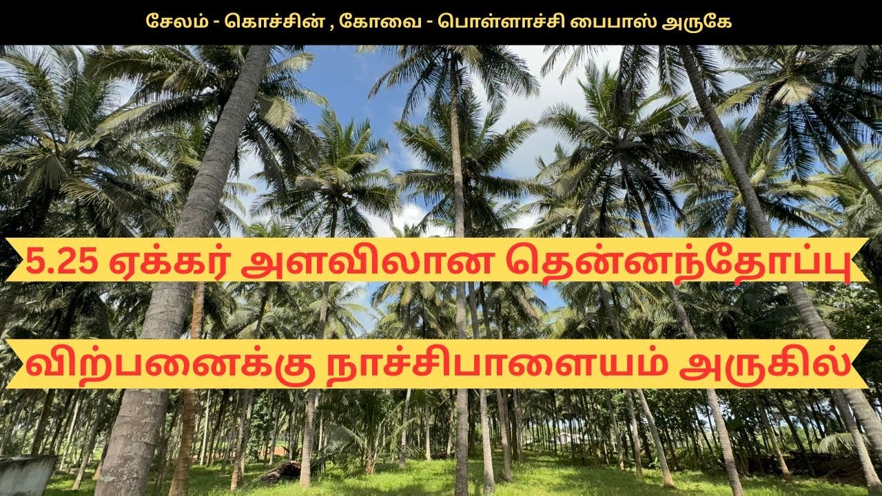 5.25 Acre Coconut Farm for Sale in Coimbatore Nachipalayam Near | Coimbatore - Pollachi Bypass