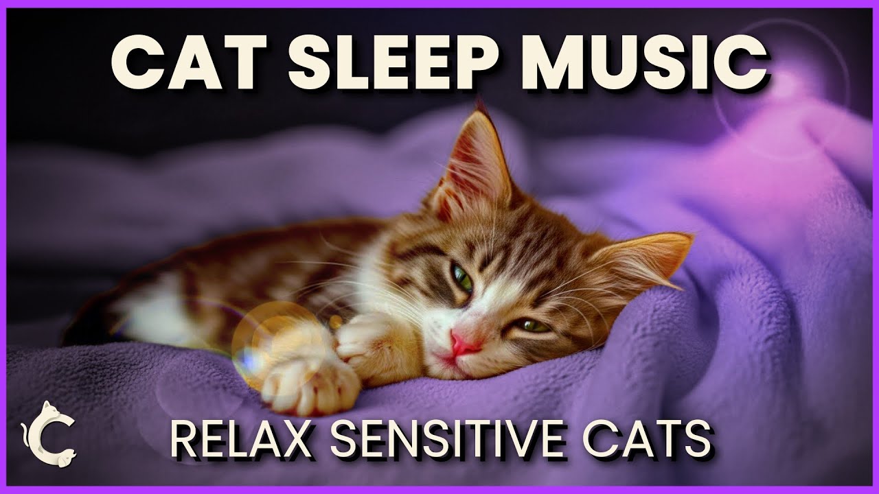 Cat Sleep Music 🐾 Soft Dreamy Tones for relax sensitive cats, kittens, and older pets