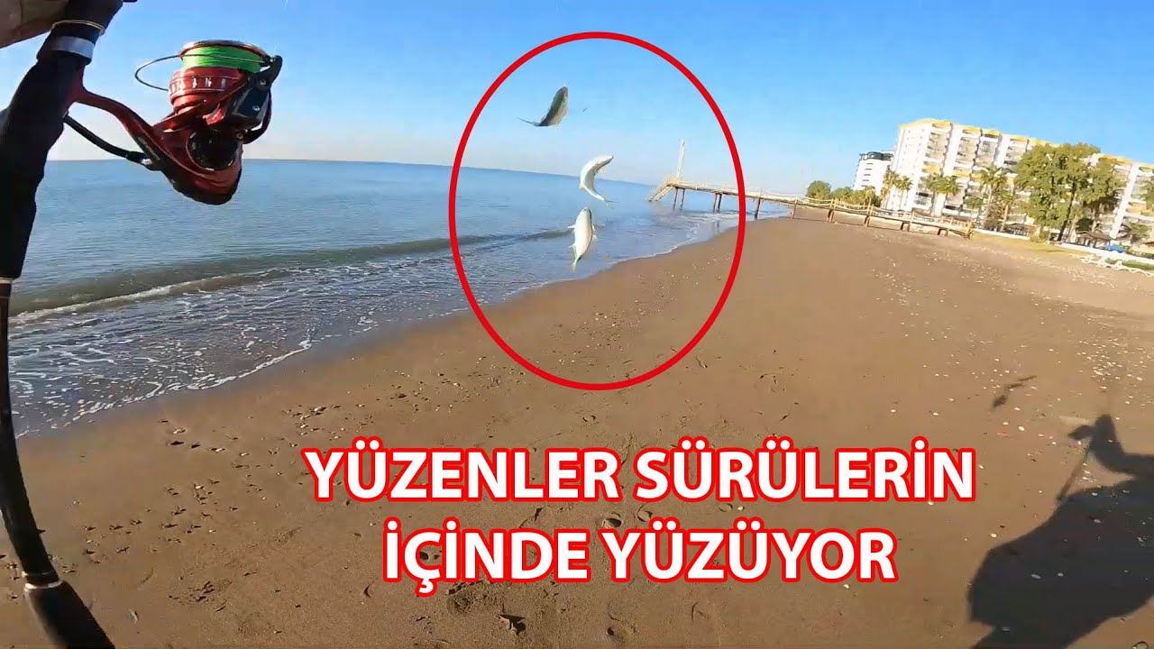 ÇILGIN BİR AV... YÜZENLER SÜRÜLERİN İÇİNDE YÜZÜYOR... ŞAŞKINLIĞIMI GİZLEYEMEDİM