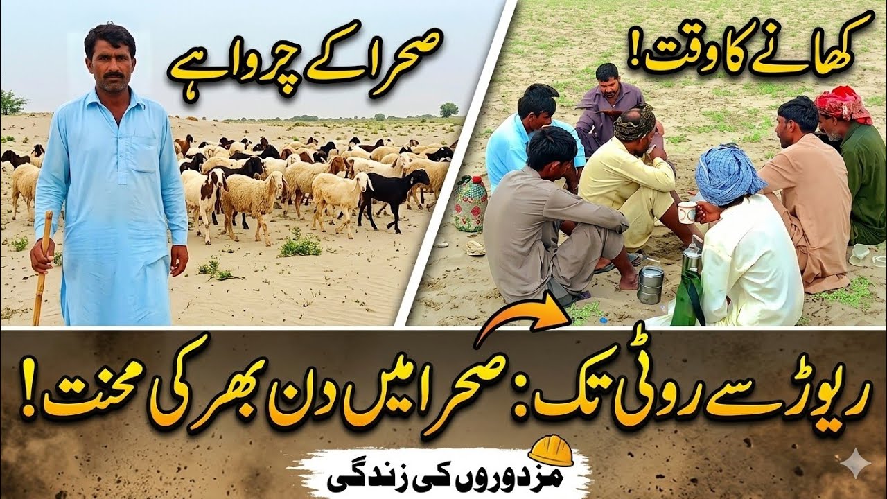Bakrio Ka Ajer Or Mazdoro Ny Roti Khaty Waqat Shughal Lgya Hy