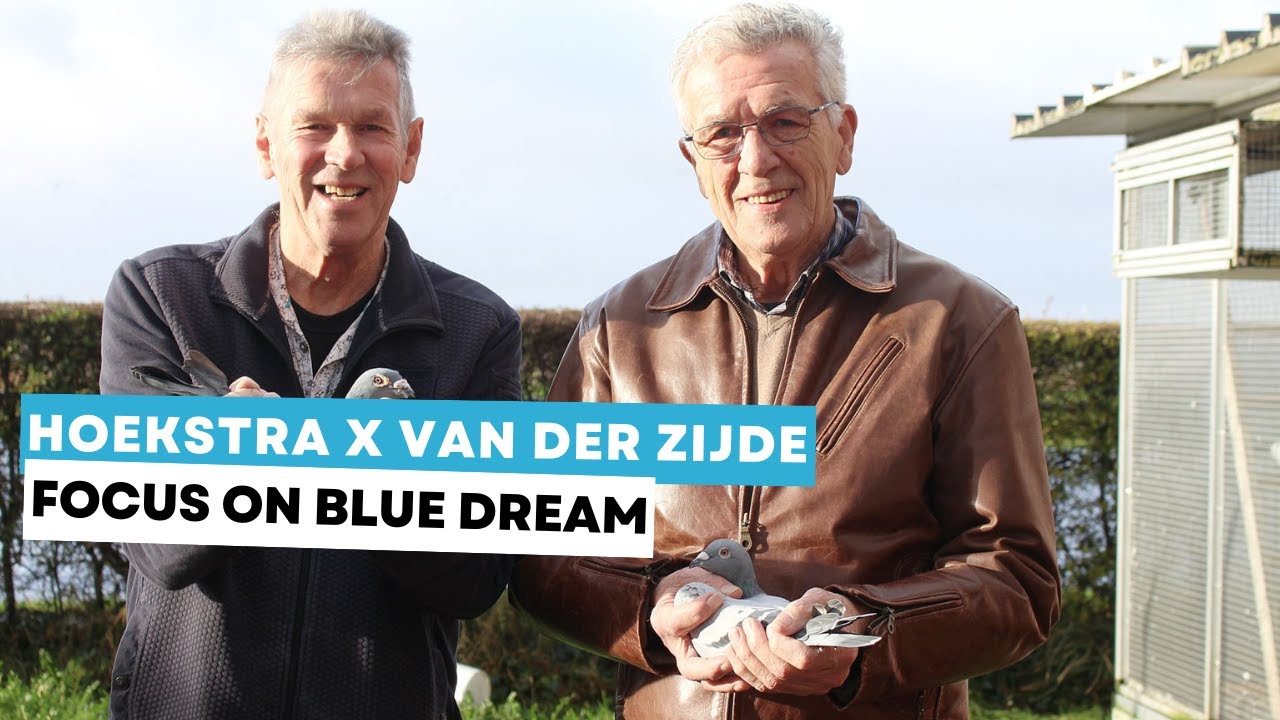 Фоке Хукстра и Ренс ван дер Зейде: внимание к элитной генетике Blue Dream
