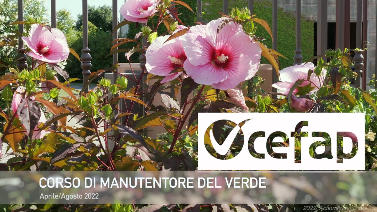 Cefap FVG - Corso di Manutentore del verde estate 2022