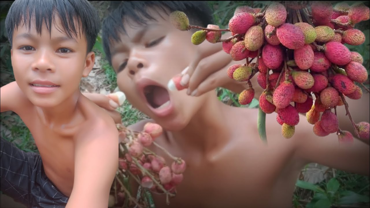 Primitive Eat chicken lov com to my chhanal primitive KH