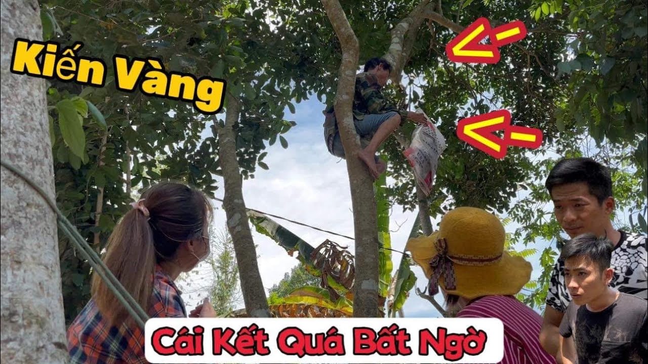 Tập cuối :Cái Kết GĐ Phương Ế bắt kiến vàng Troll Cắn Thuận Gòm và Cậu 7 Cô Đơn