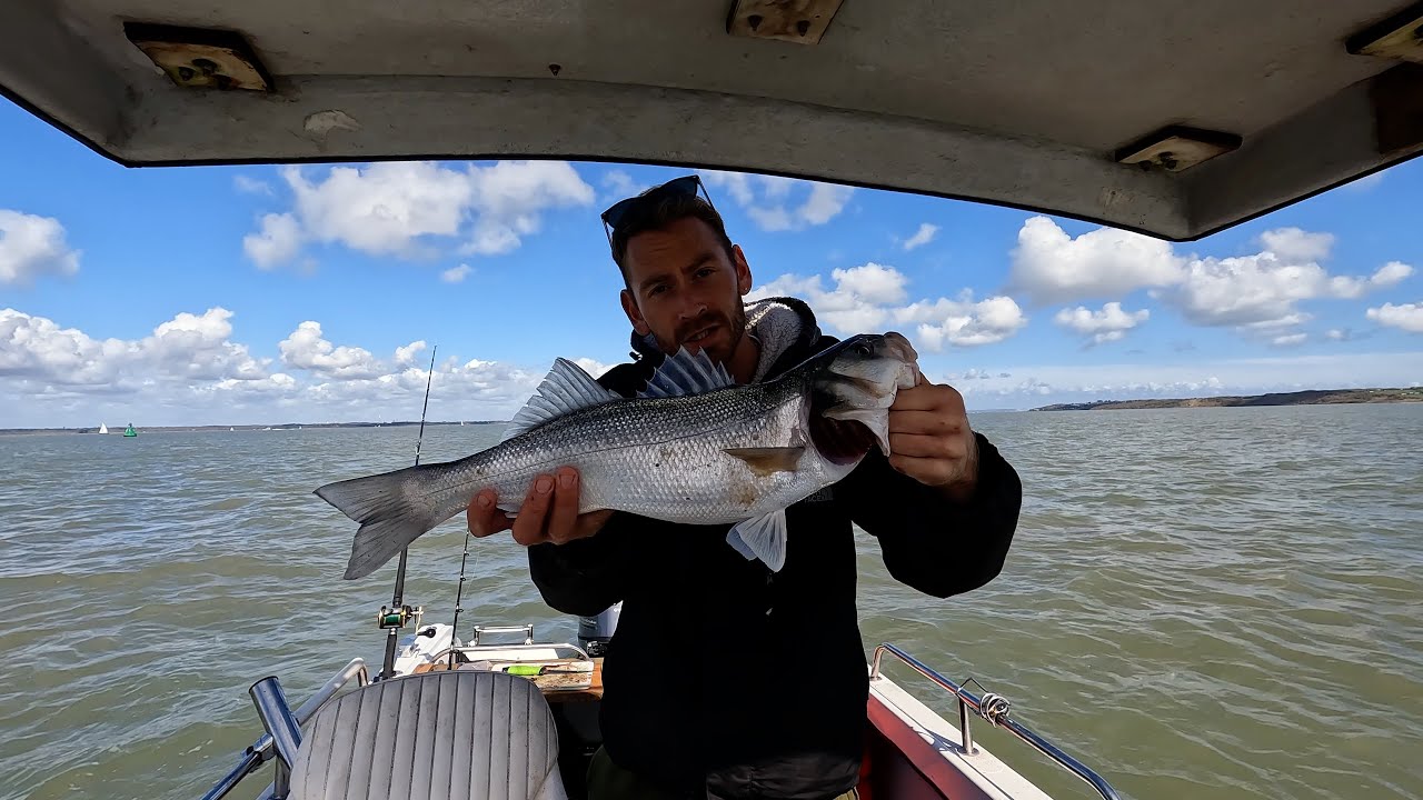 ***UK Boat Fishing!*** Solent Boat Fishing For Bass And Smooth-hounds