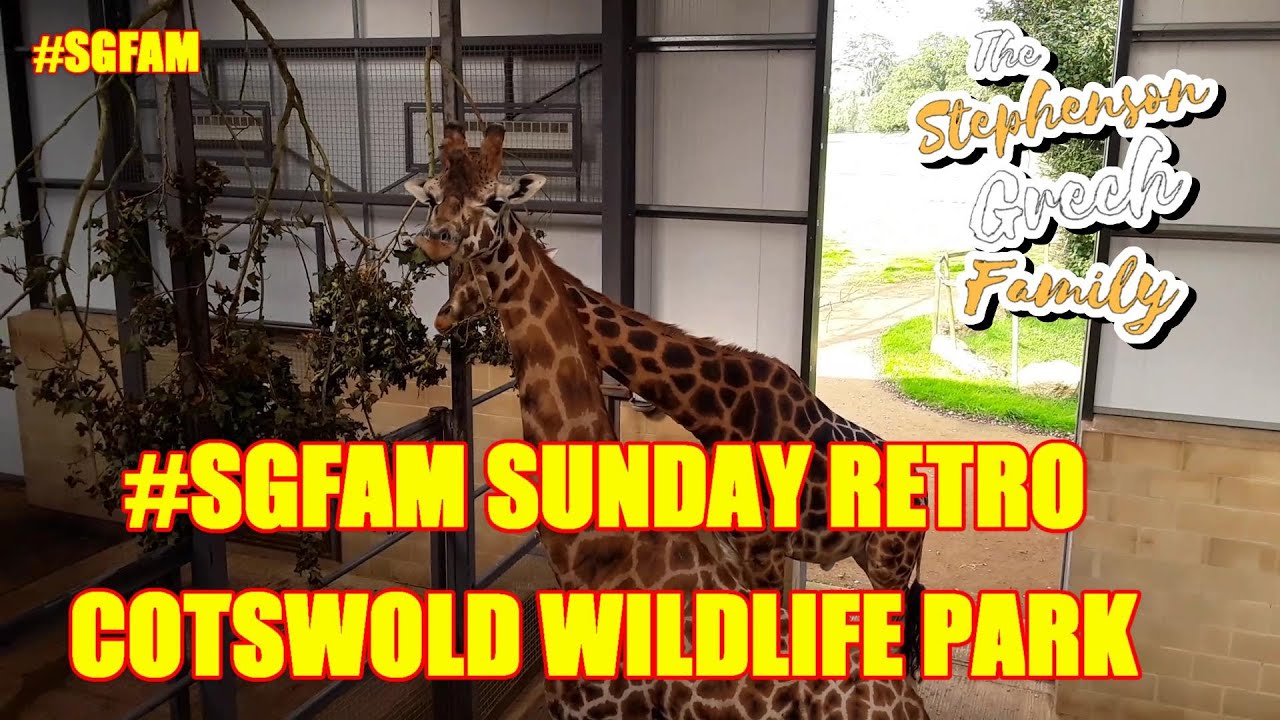 SGFAM RETRO - Cotswold Wildlife Park September 2017    #SGFAM #Autis