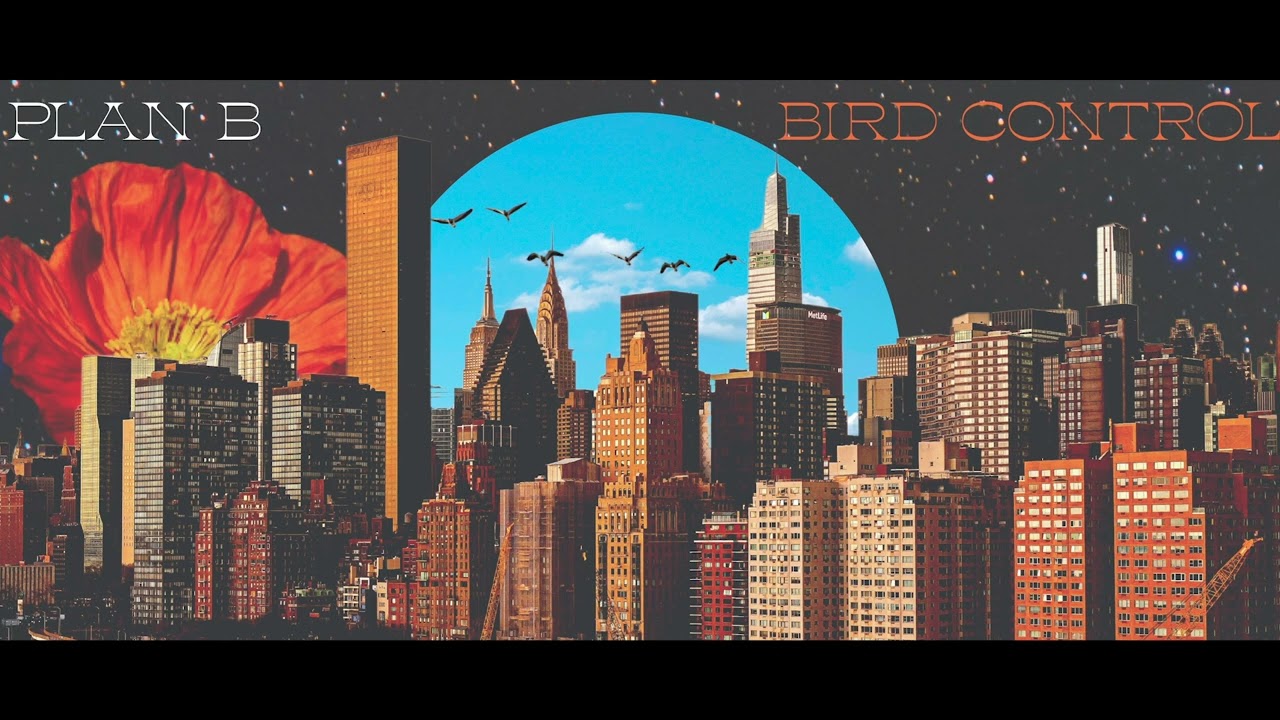 Bird Control - LOST (FAR AWAY) (Official Audio)