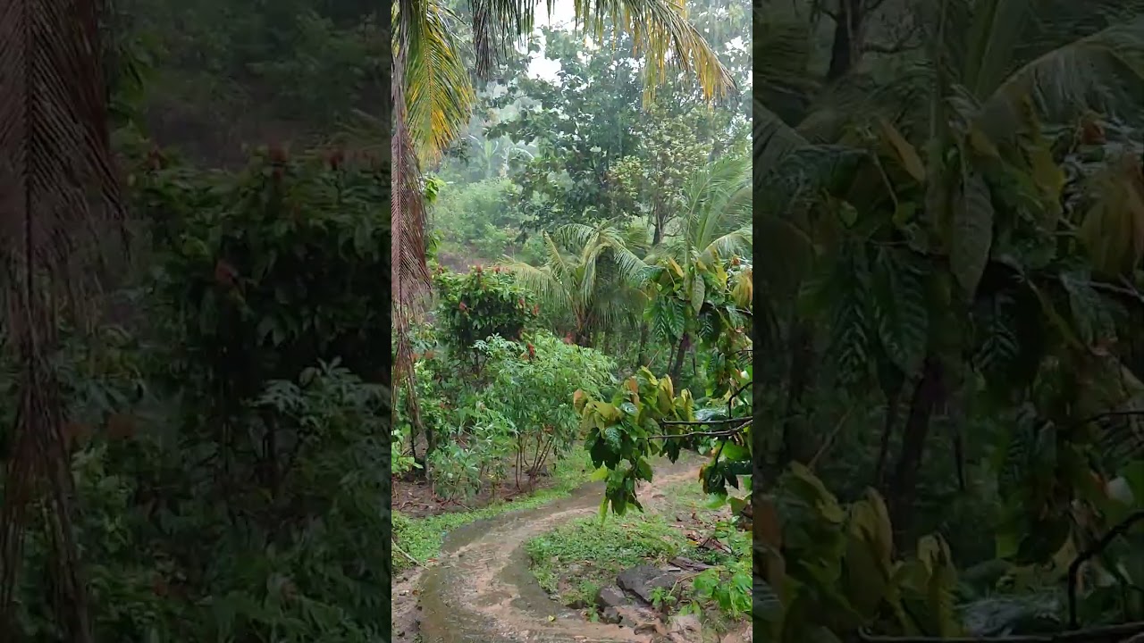 hujan #suarahujan #relaxation #relaksasi #penghantartidur