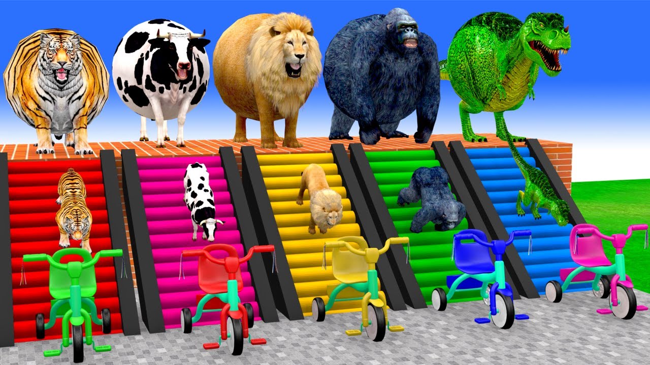Long Slide Game with Cow Elephant Gorilla Hippopotamus Tiger 3d Animal Game Funny 3d Animals