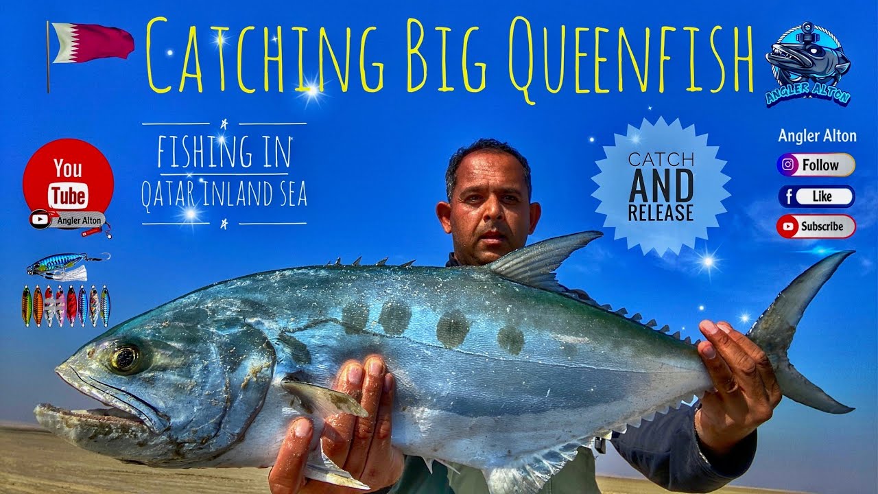 Catching Big Queenfish  From Shore - Fishing in Qatar