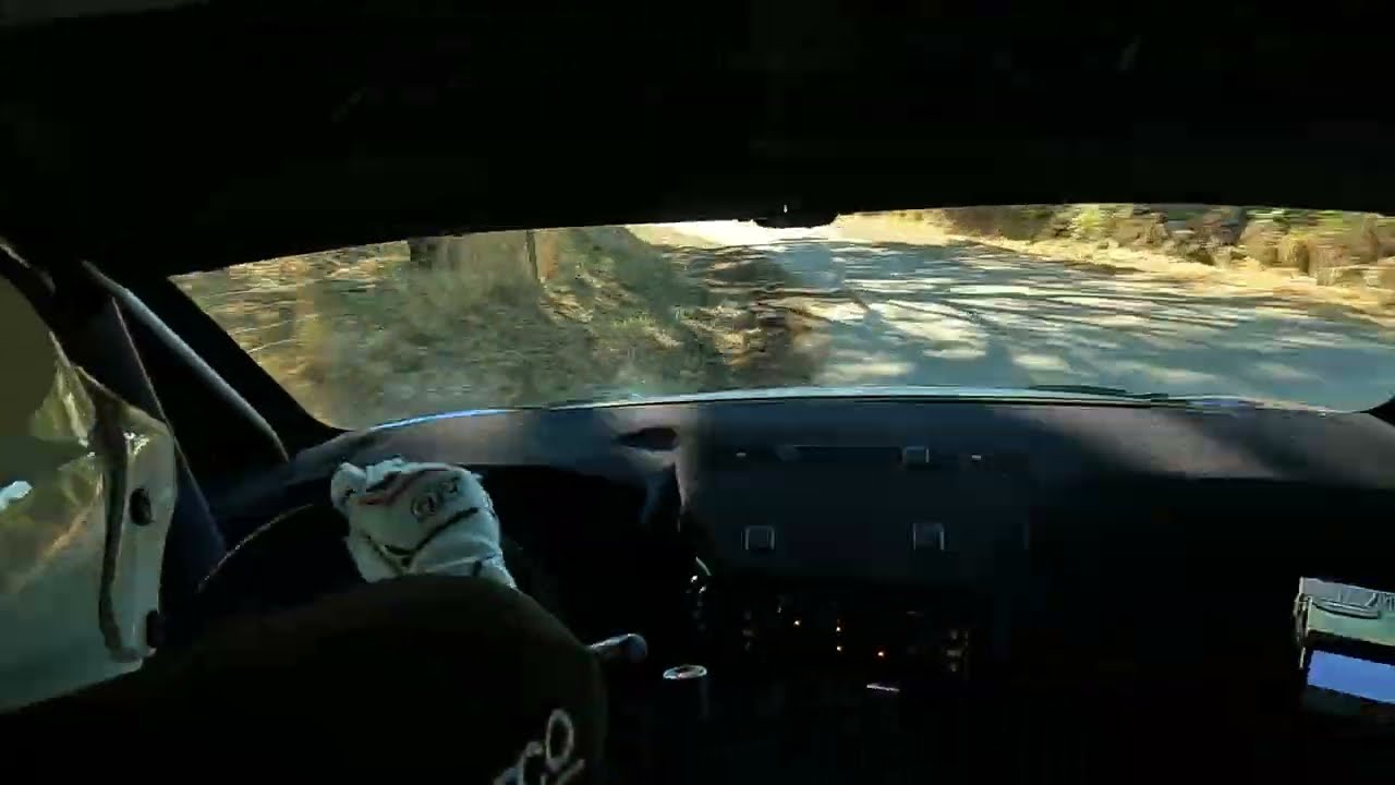 Peugeot 208 Rally4 | Rali Castelo Branco 2024 | Pedro Pereira - João Aguiar