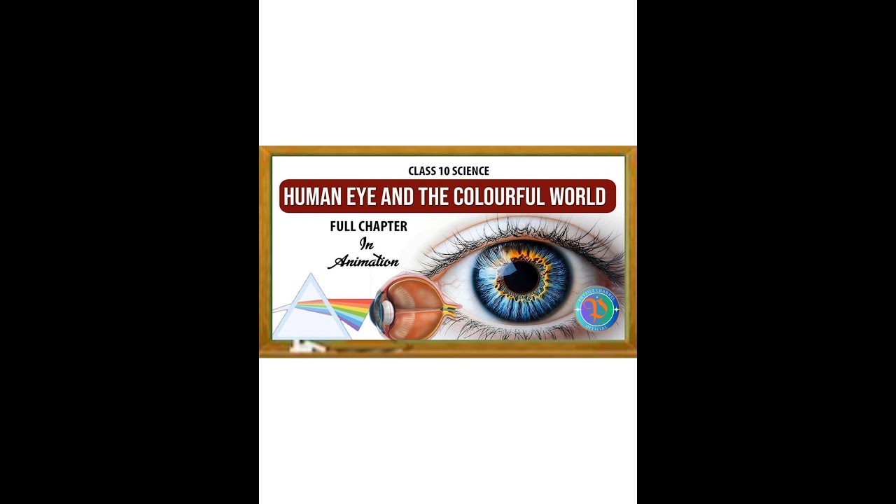 Human eye 👁️ and colour full world class 10 exam l important diagram l physics channel official