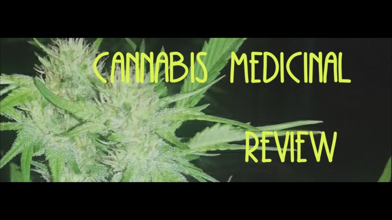 Strain review: Berry White