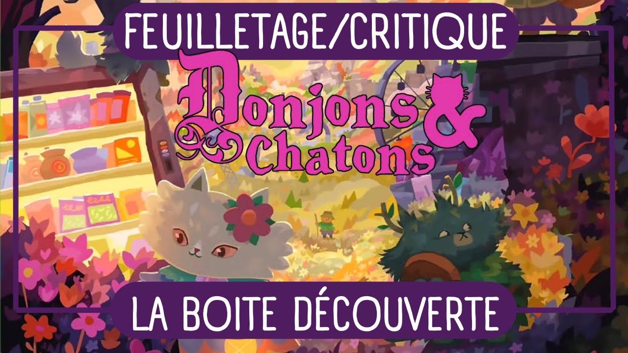 Boite découverte : Donjons & Chatons | Unboxing / Critique #jdr