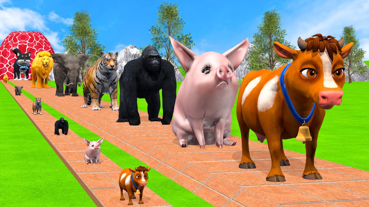 Long Slide Game With Cow Elephant Gorilla Hippopotamus Tiger - 3d Animal Game - Funny 3d Animals