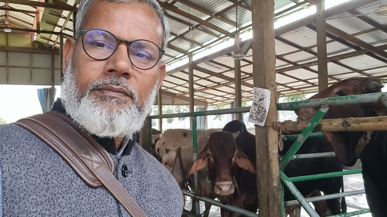 এখন শীতকাল আমরা আমাদের খামারের ষাঁড় গরু গুলোকে প্রতিদিন গোসল করাই। 