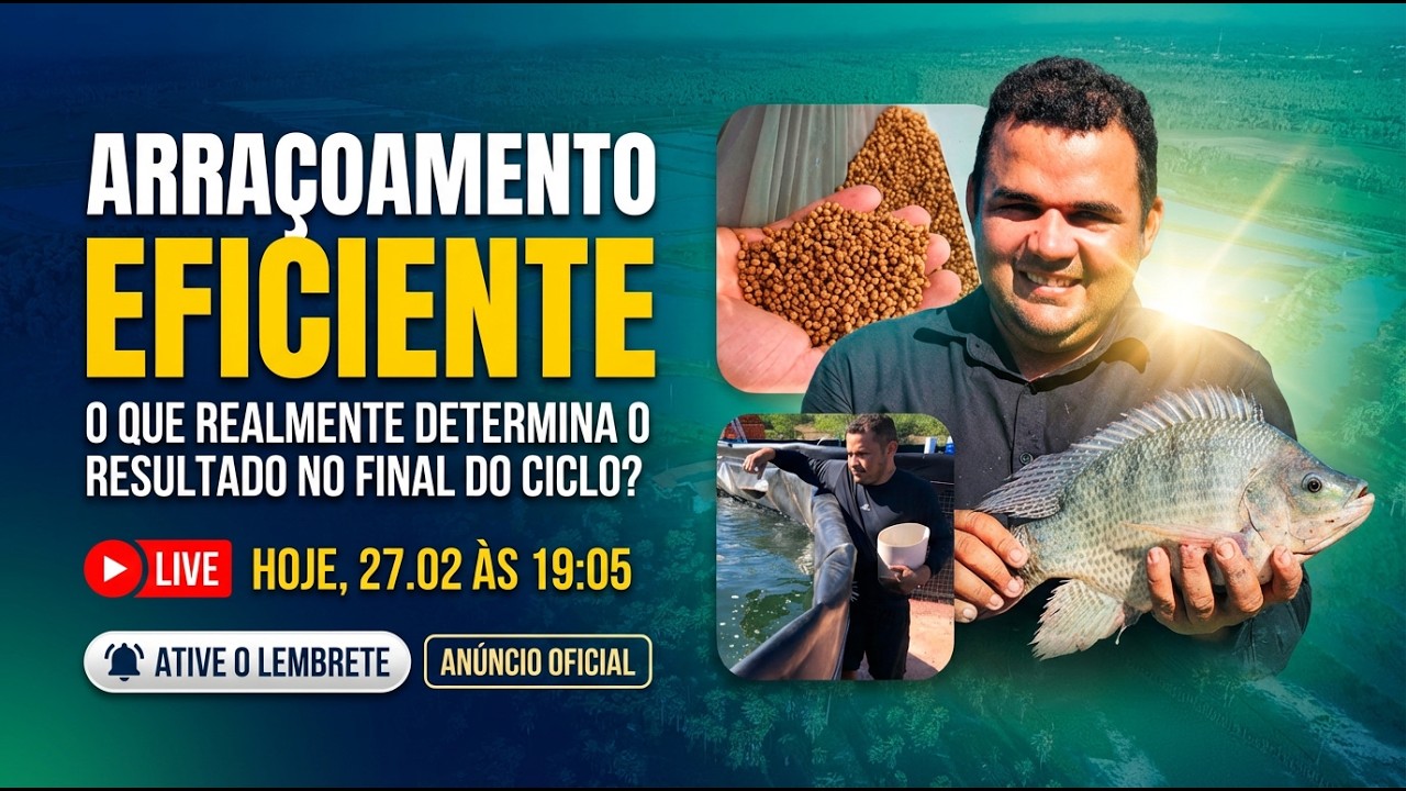 Live: Arraçoamento eficiente: o que realmente determina o resultado no final do ciclo?