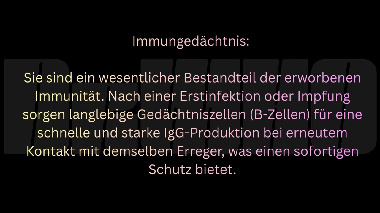 Dr WHO Q&A erklärt IgG Antikörper bei Infektionen long COVID und ME/CFS