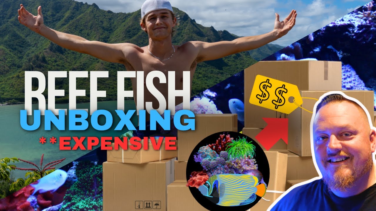 REEF FISH UNBOXING (INSANE)