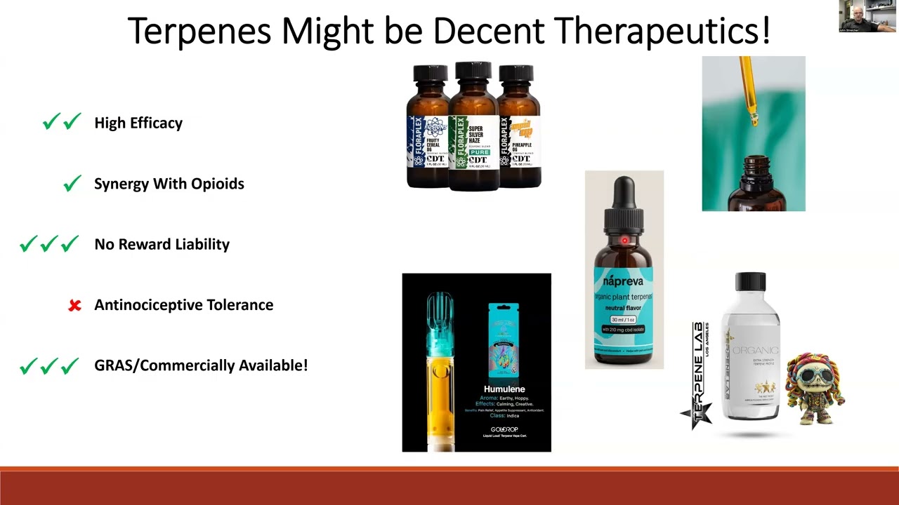 Terpenes from Cannabis sativa Block Chronic Pain and Opioid Reward via the Adenosine A2a Receptor