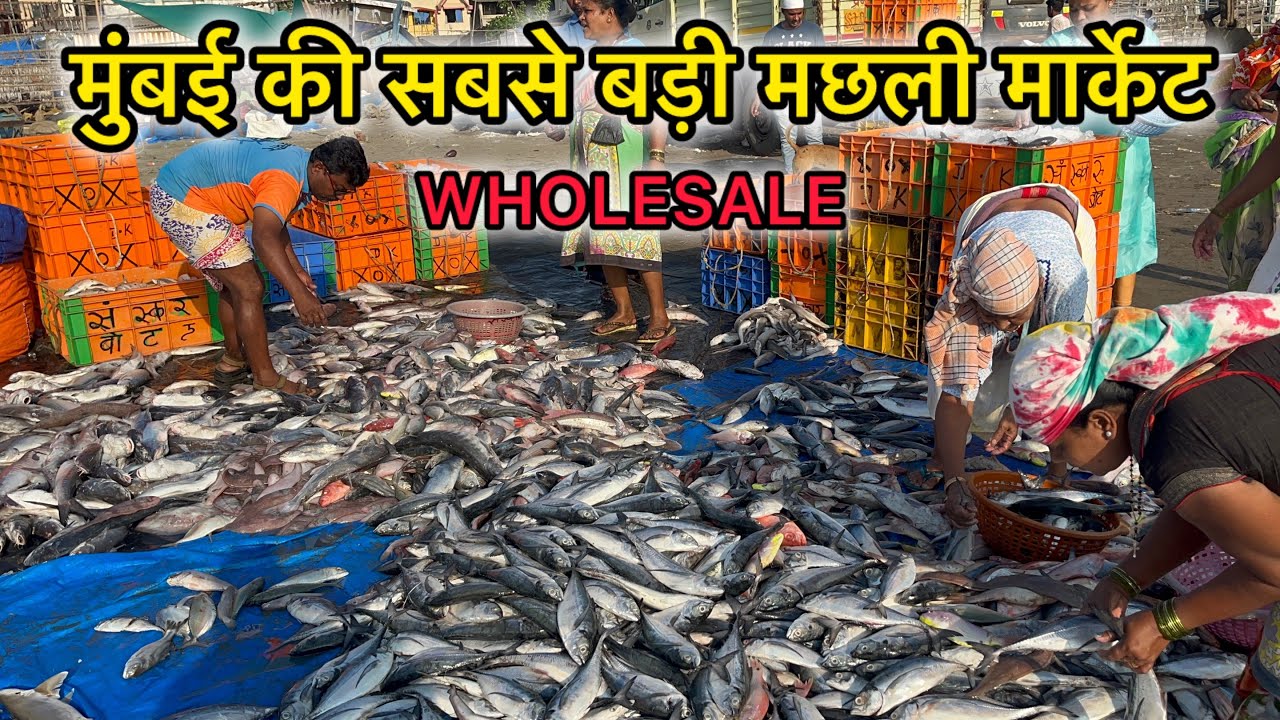 Mumbai Fish Market | Mumbai Bhayandar Uttan Beach Fish Market | Wholesale  Fish Market | Bhayandar