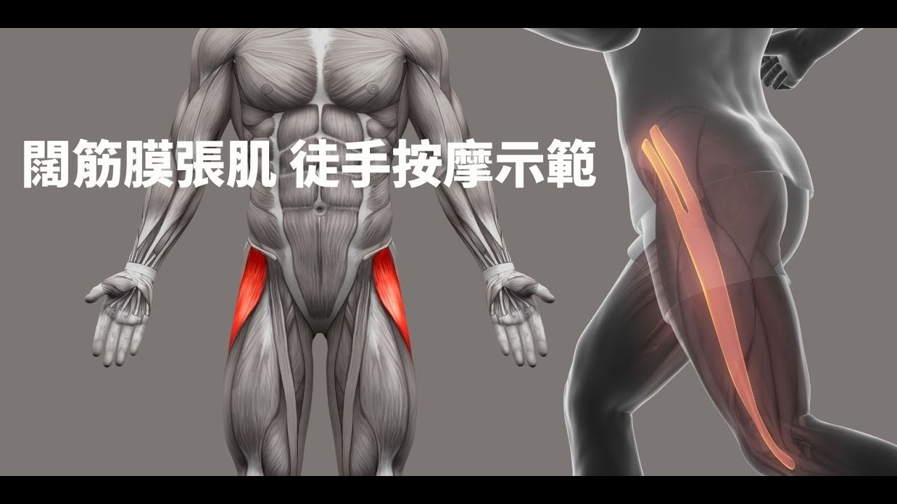 闊筋膜張肌  肘壓技巧 骨盆前頃、伸髖角度受限制、髂脛束症候群  順式還原按摩調理功法