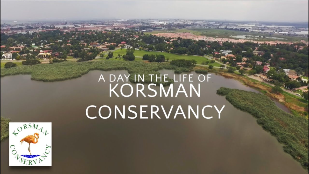 Korsman The Movie - A Day in the Life