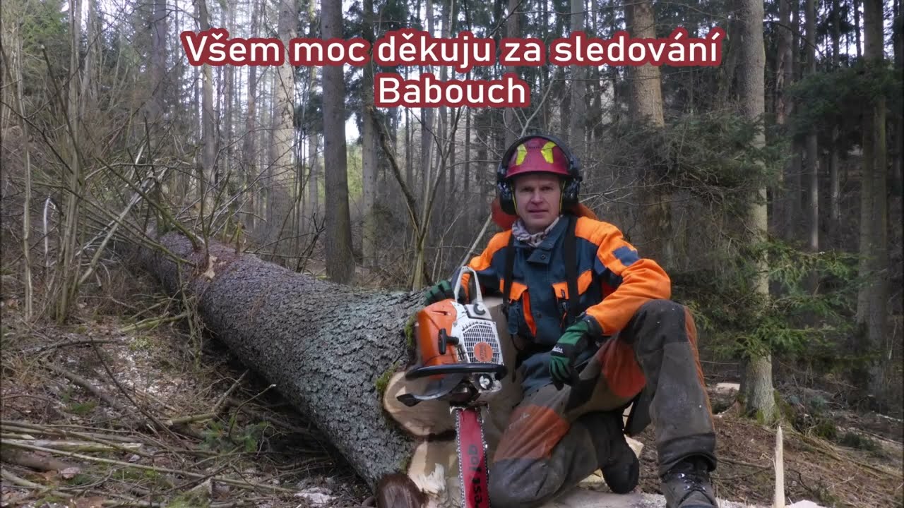 Forest job / Smrk 8 kubíku - Stihl 462 #198