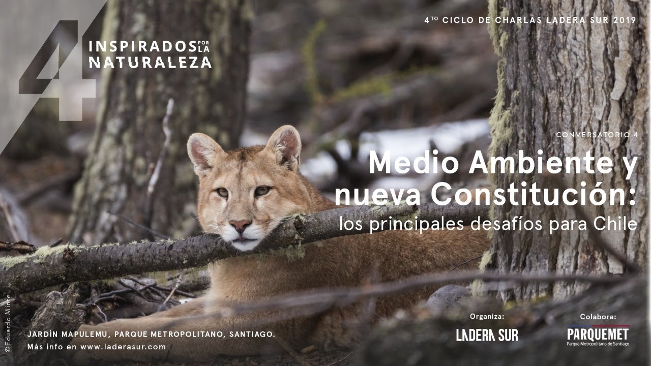 Medio Ambiente y Nueva Constitución: los principales desafíos para Chile - 2019