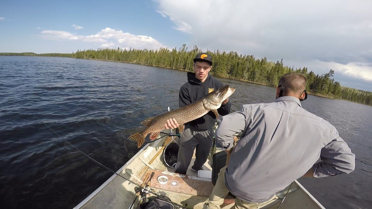 MONSTER Northern Pike Caught in Southern Manitoba Canada
