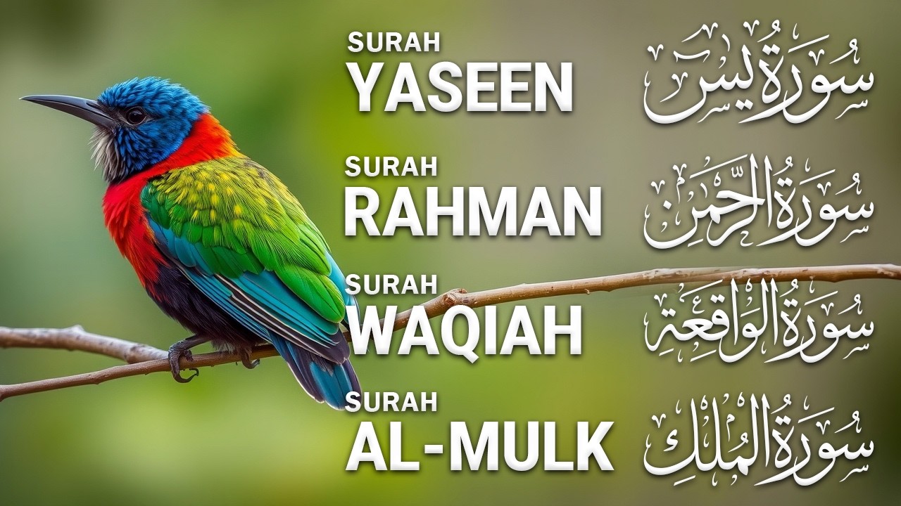 Most Beautiful Recitation | Surah Yaseen | Surah Rahman | Surah Waqiah | Surah Mulk | Ep34 Alaa Aqel