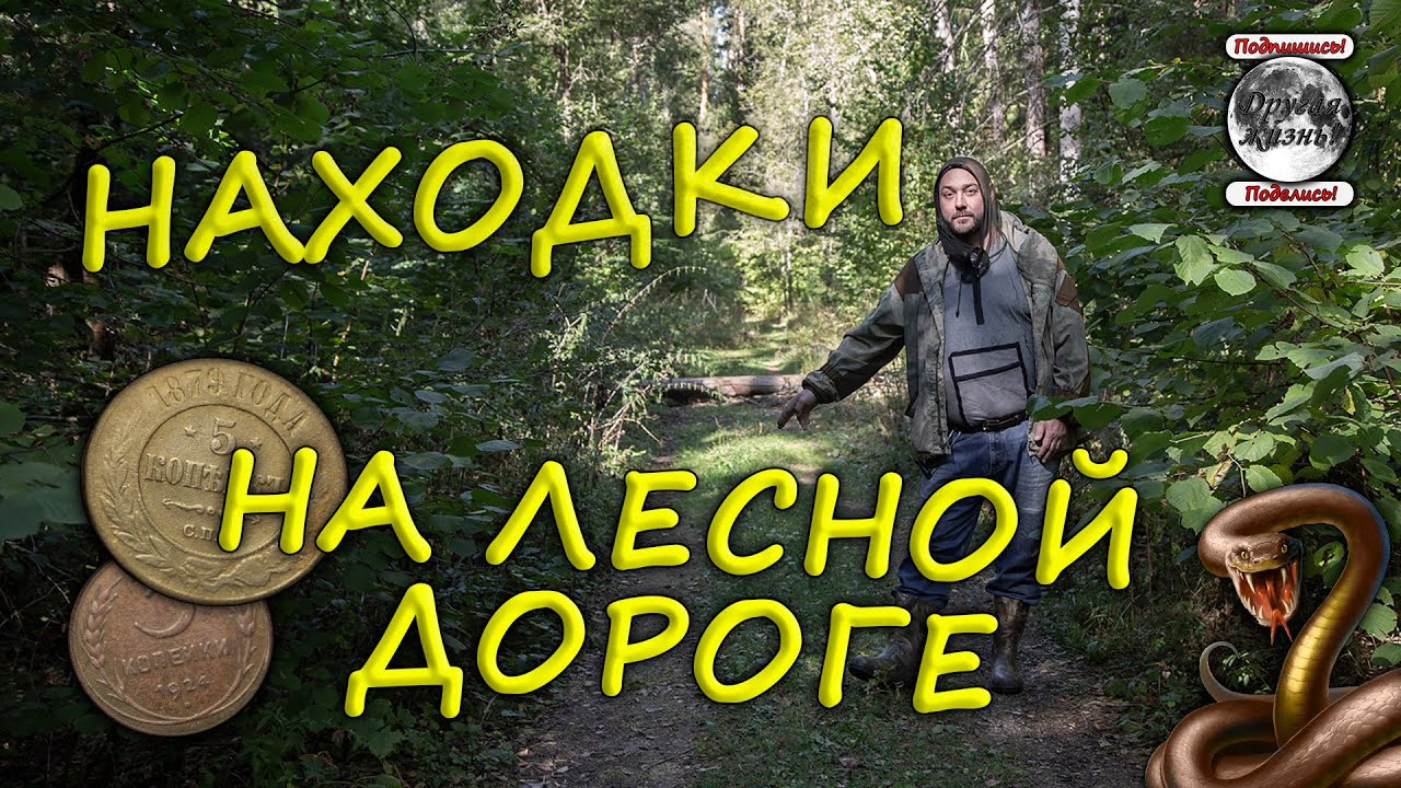 Находки на лесной дороге. Сохран монет просто бомба. Встретилась Гадюка.