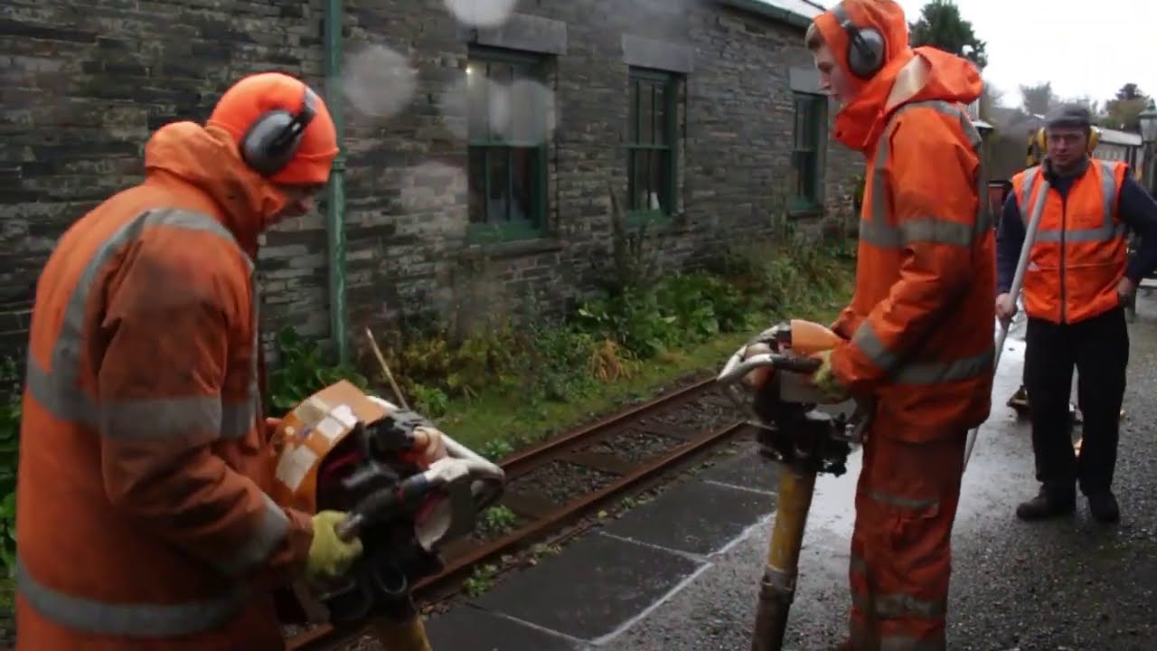 Talyllyn Weekly Walkabout - Nov 4th 2020
