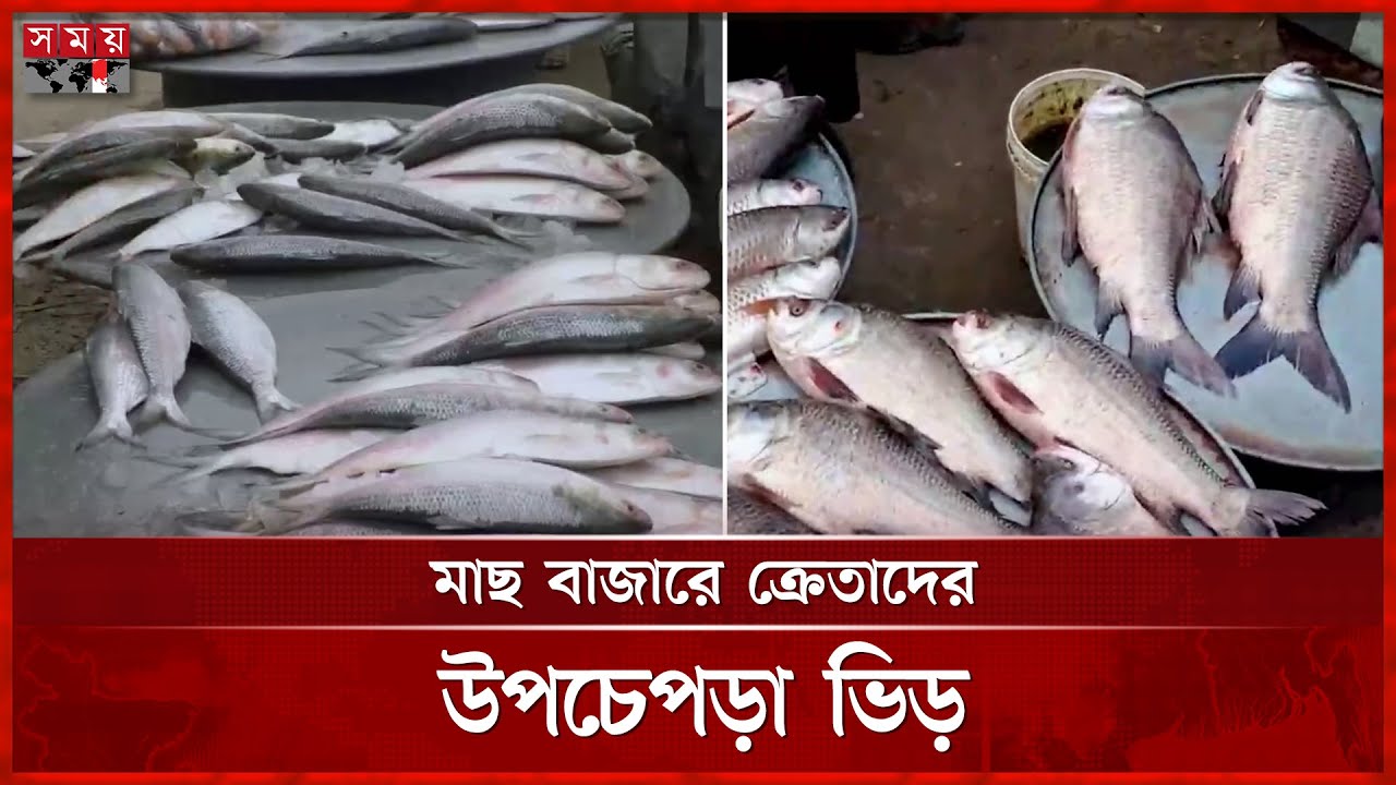 মুন্সিগঞ্জে মাছের আড়তে জমজমাট বেচাকেনা | Fish Market in Munshiganj | Bazar | Somoy TV