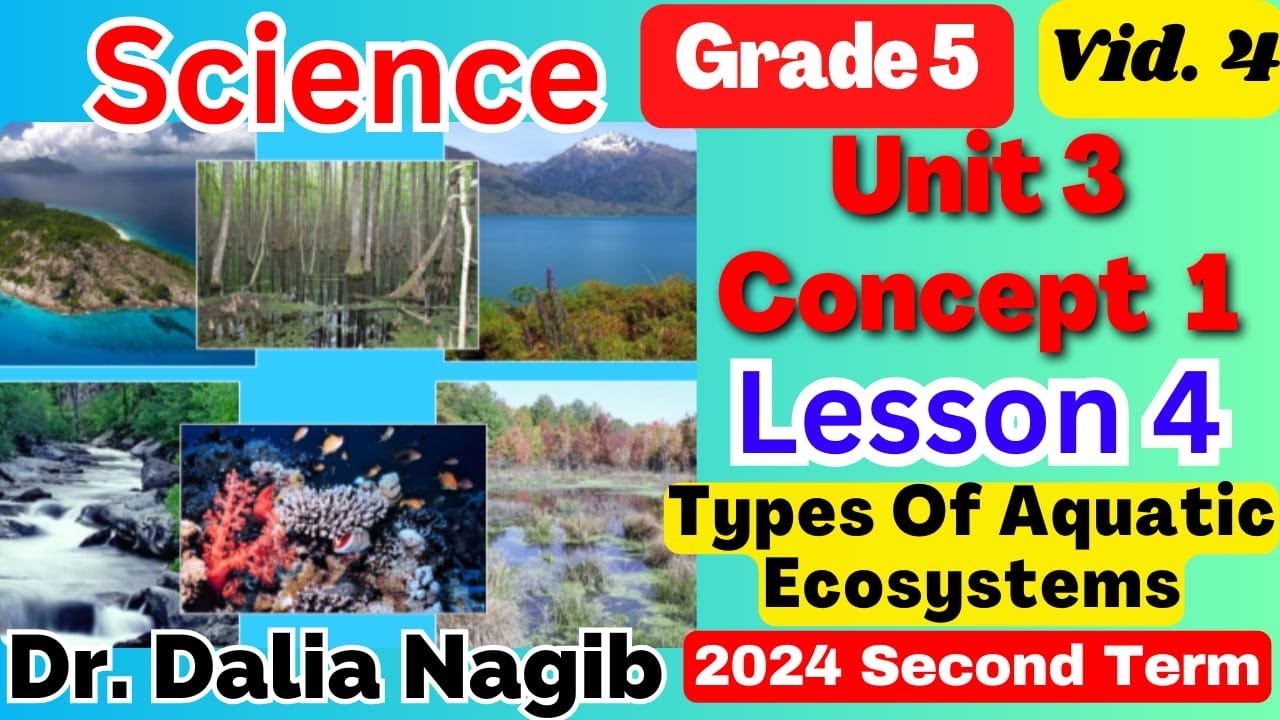 Science Grade 5  Unit 3 Concept 1 Lesson 4 Types Of Aquatic Ecosystem  ساينس خامسة ابتدائي ترم ثاني