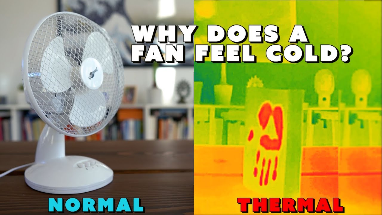 Fans Don't Actually Lower Temperature (THERMAL CAMERA)