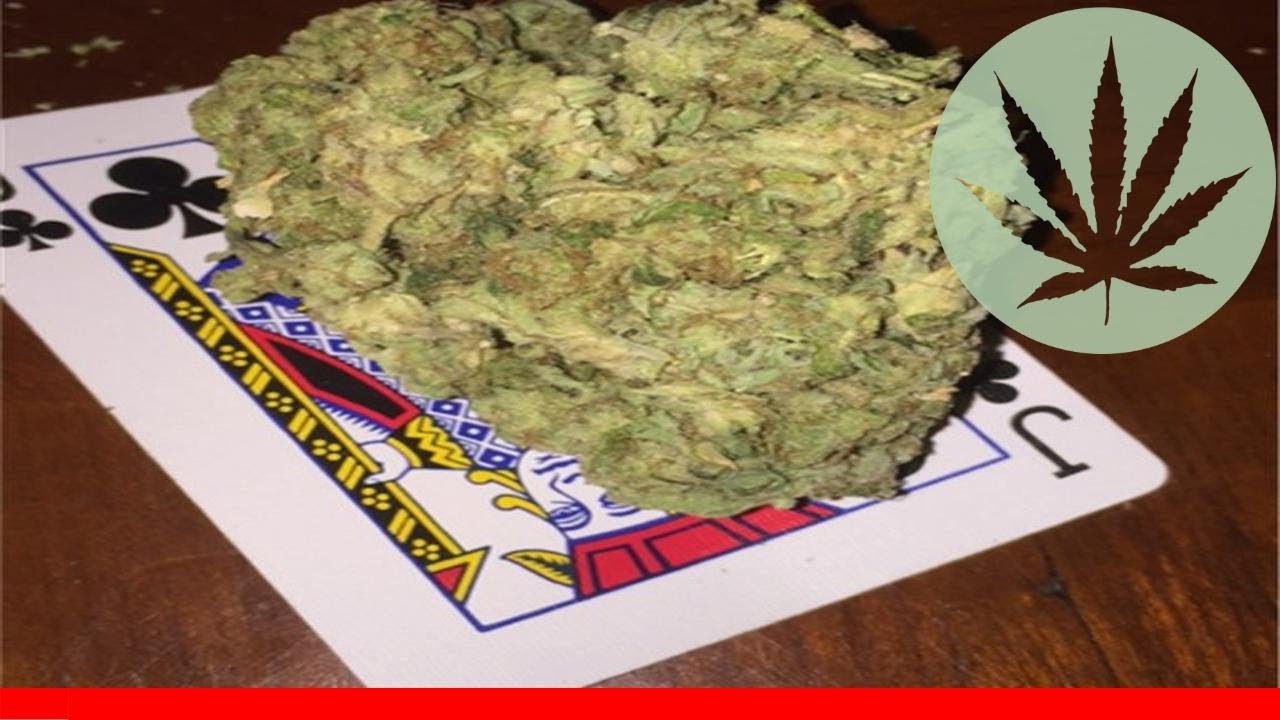 Funky Monkey - All About This Strain