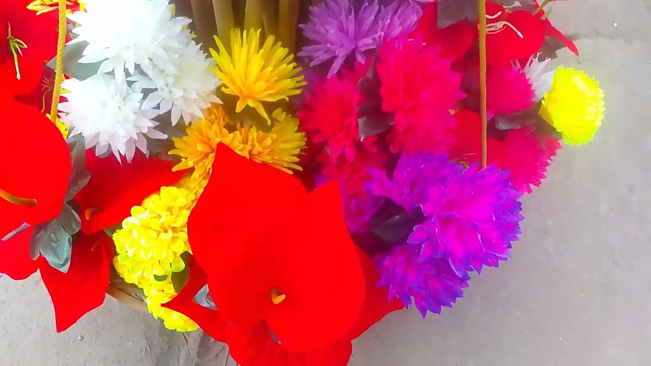 Wow!Really Excellent Scenery| Fantastic Flowers 🌷🌹| Sanju Nath