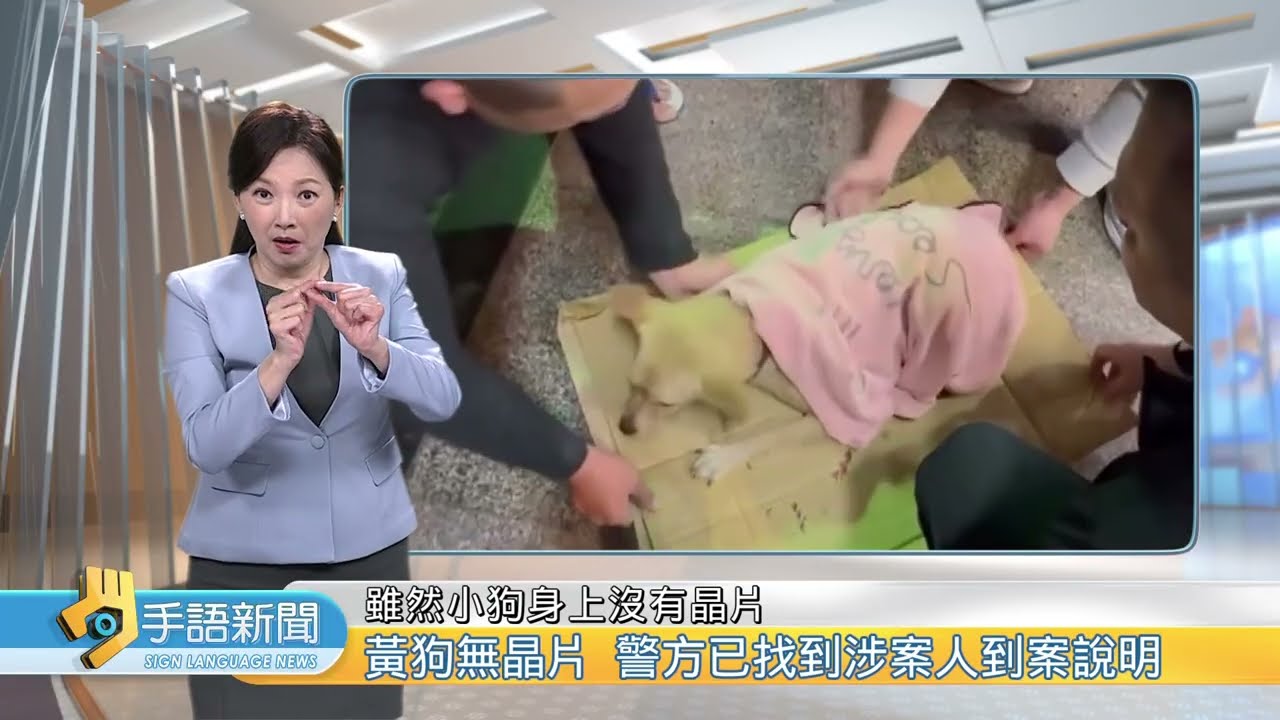 北港凌晨傳爭吵 黃狗疑遭飼主高處丟下