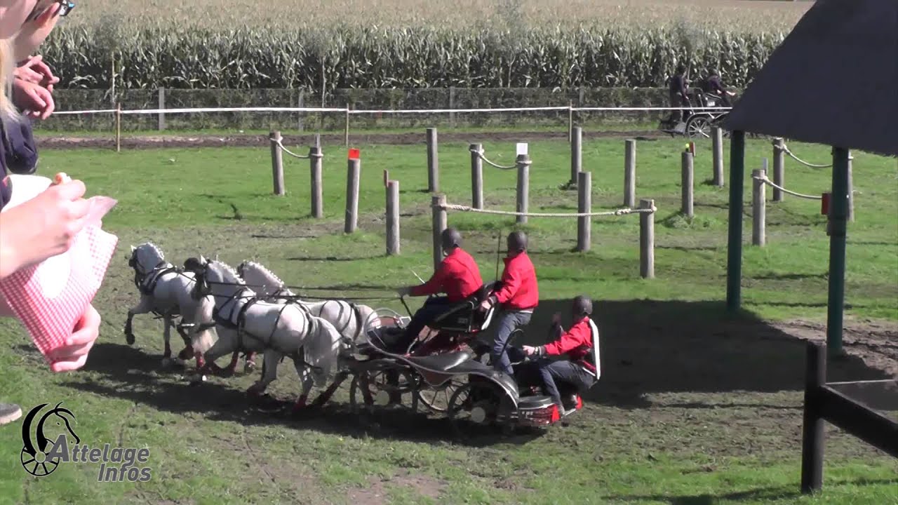 Thomas VAN DYCK   MARATHON   Championnat de Belgique   ELSEGEM 2015