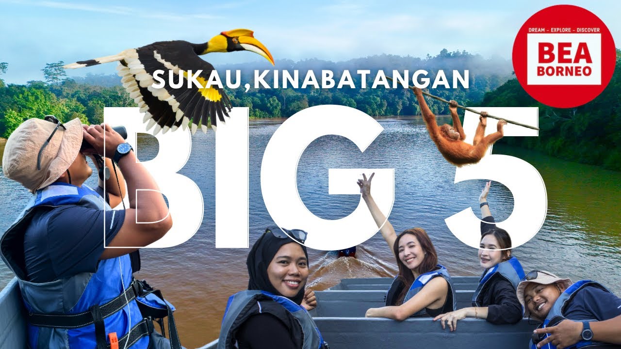 The BIG 5 BORNEO : Amazon of The East | Sukau Kinabatangan River, Sabah, Malaysia | Greenview B&B
