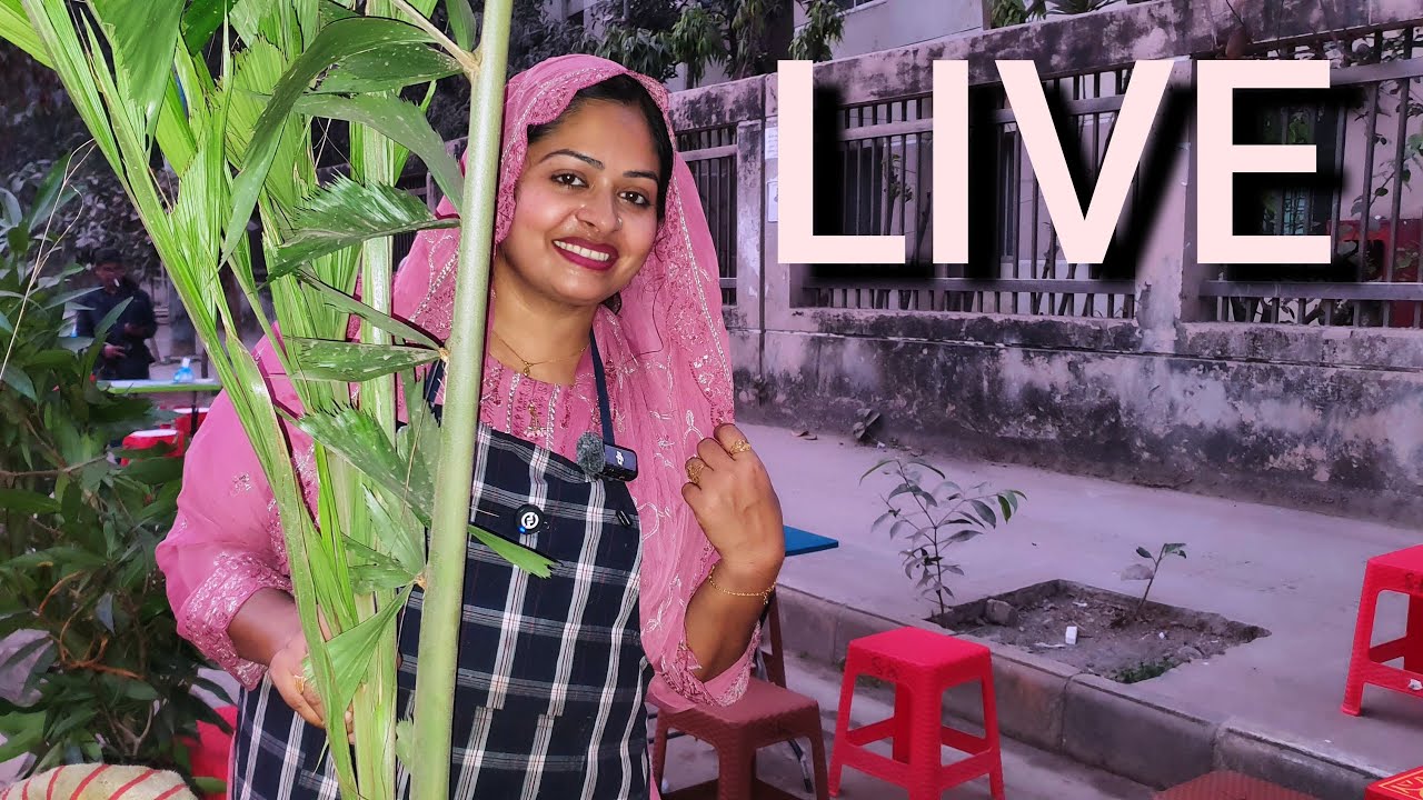 Alam Media BD196 is live!, সিমি কিসিং লাইভ সরাসরি দেখাচ্ছি