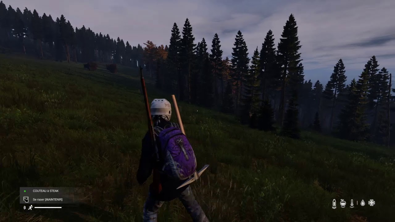 DayZ_zombie,survie,exploration.