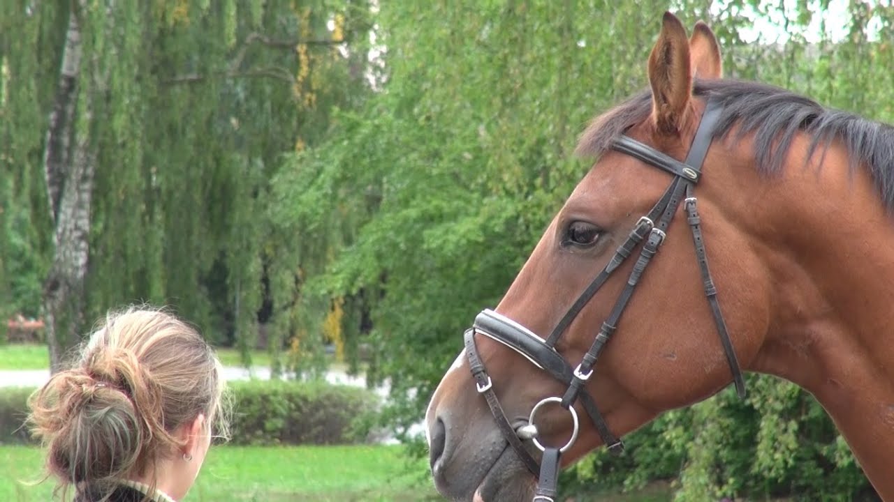 Zemědělská škola v Táboře