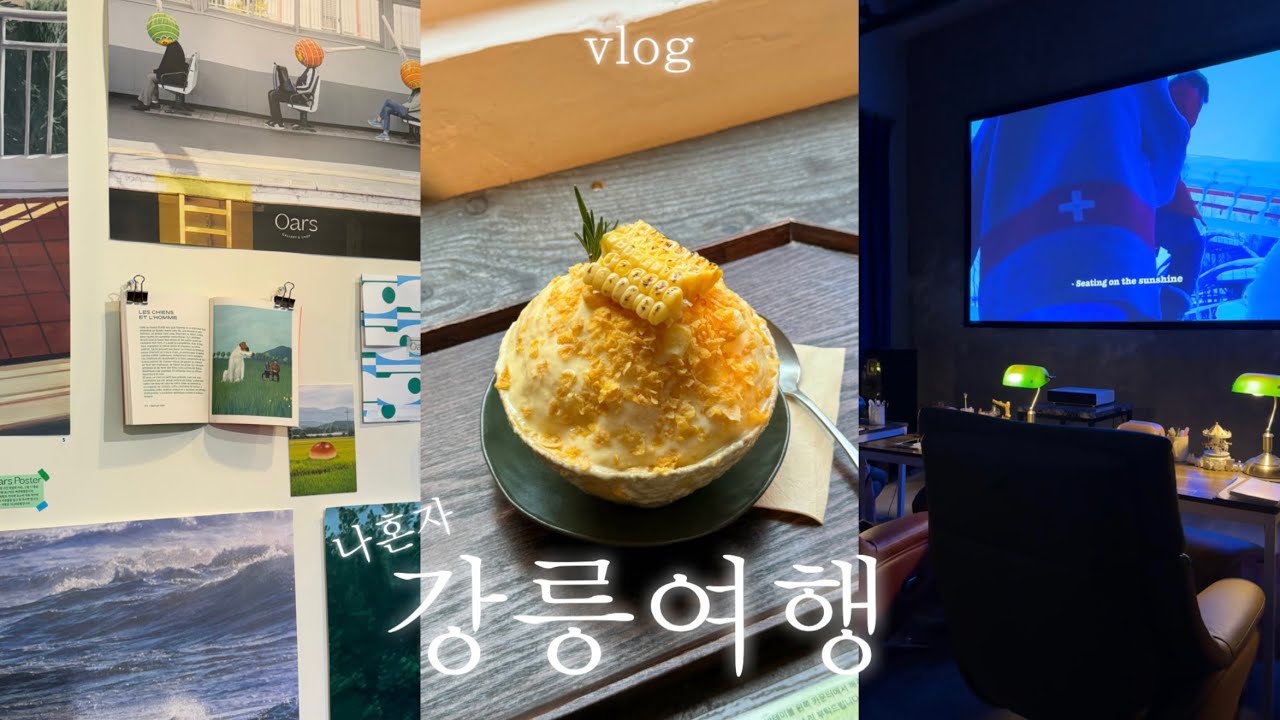 혼여행 쌉고수가 말아주는 여름 강릉 혼자 여행 vlog🫧| 갬성 작살나는 혼술맛집 찐추천 | 강릉 n번째 또간집 다 알려드림 | 빵순이 강릉 빵맛집투어 | 찐오션뷰 숙소 추천🐬⛱️