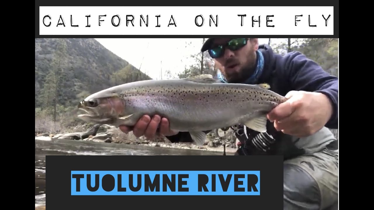 CALIFORNIA ON THE FLY: TUOLUMNE RIVER