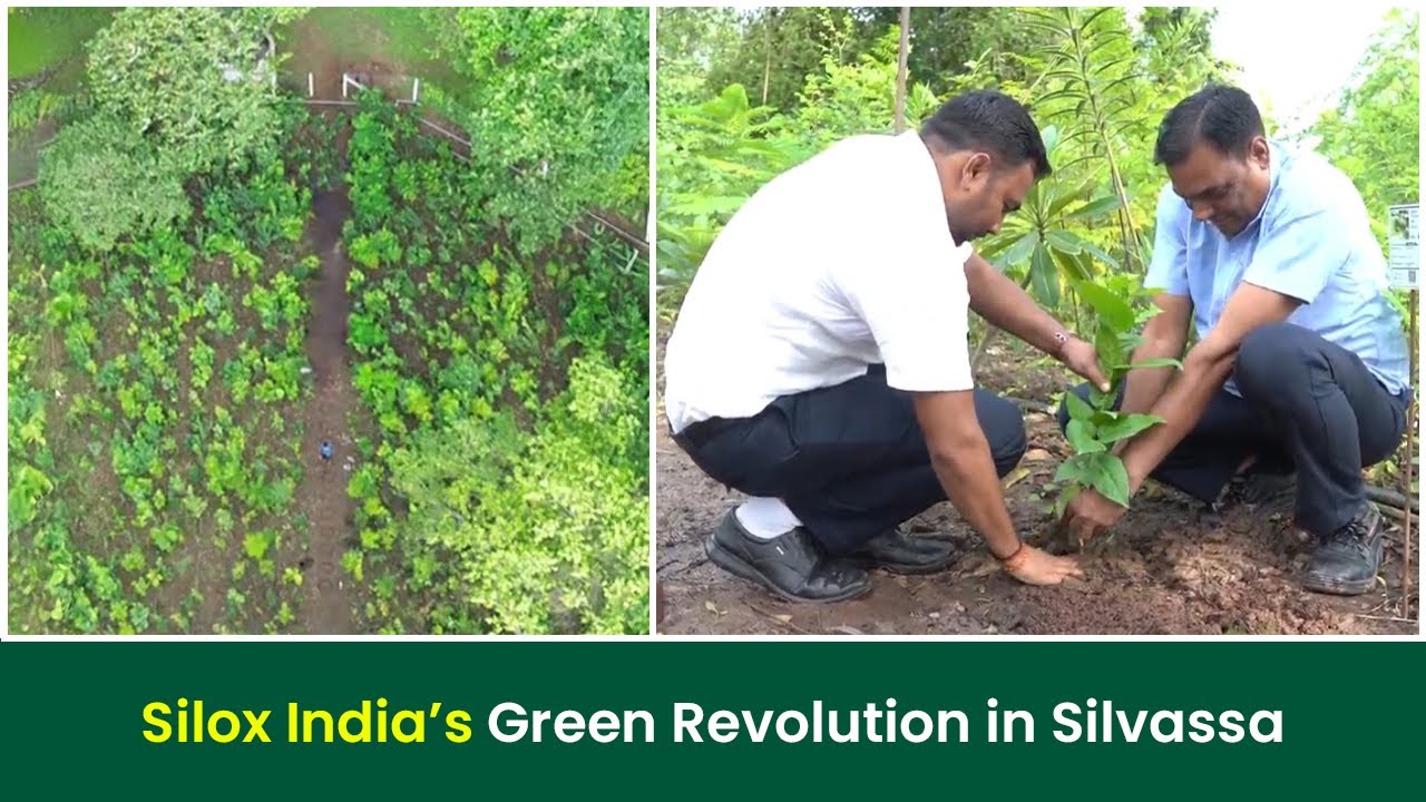 You Won't Believe How Silox India is Turning Silvassa Green I Grow Billion Trees
