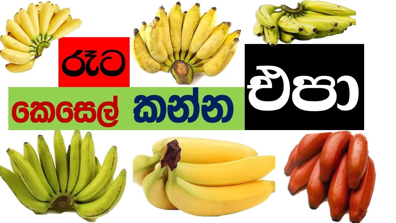 කෙසෙල් රෑට අගුණයි මෙන්න හේතුව | Here's why bananas are bad at night |   Sampath Hamuwa