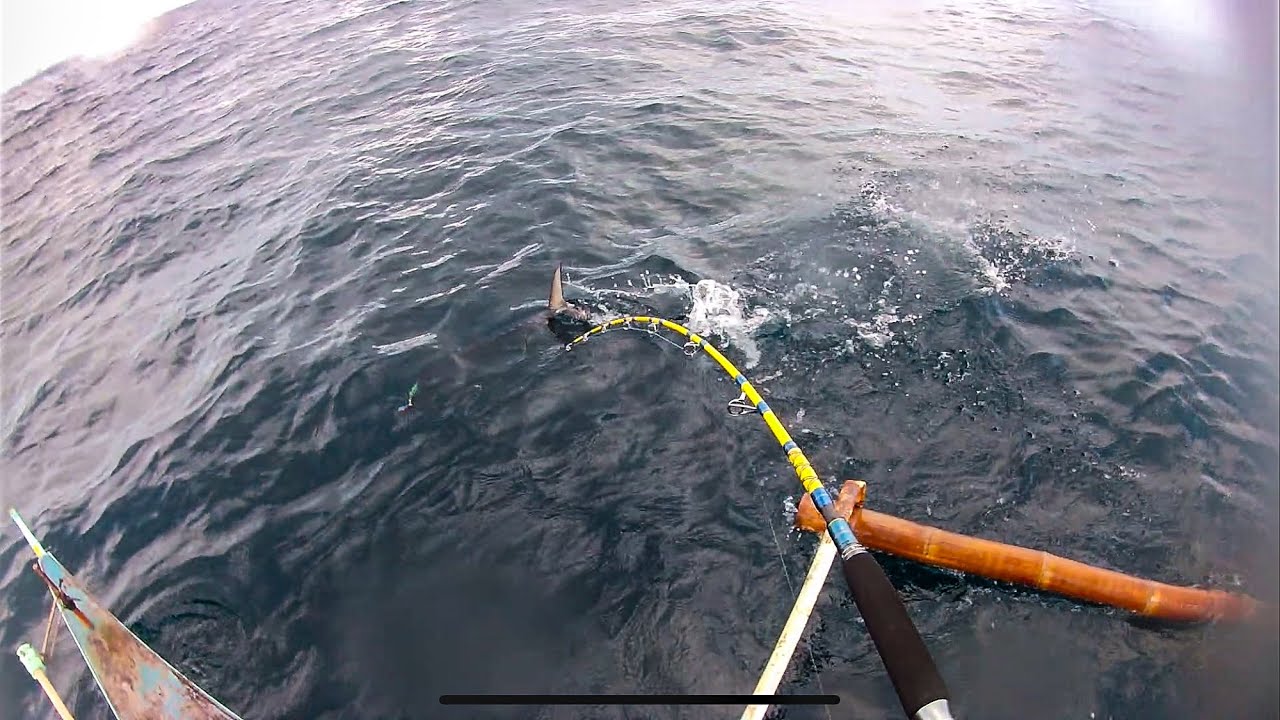 10kg Fish on Cheap Jigging Set Old Captain And Kastking Sharky 3 (English and Tagalog Sub) [EP. 11]